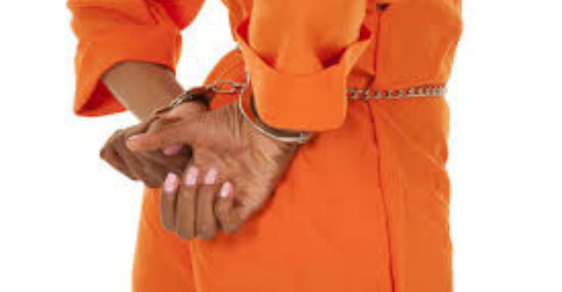 Untitled design (29)