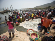 Sierra Leone Waters Targeted By Foreign Trawlers, Taking Profits and Fish